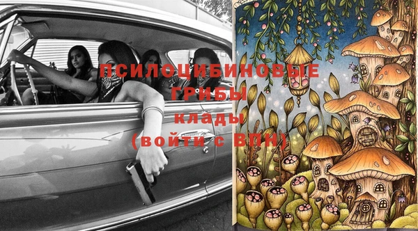 ПСИЛОЦИБИНОВЫЕ ГРИБЫ Абинск
