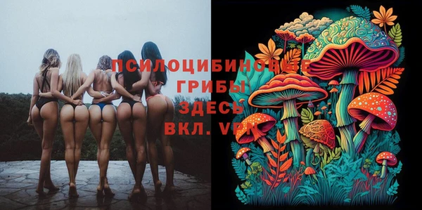 spice Алзамай
