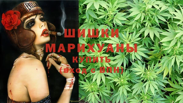 эйфоретик Магас