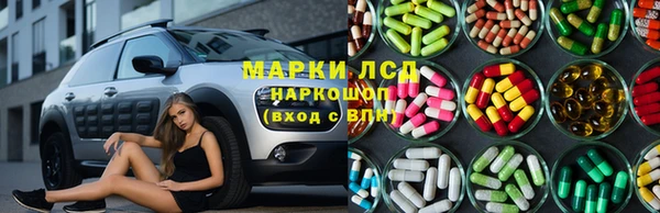 spice Алзамай