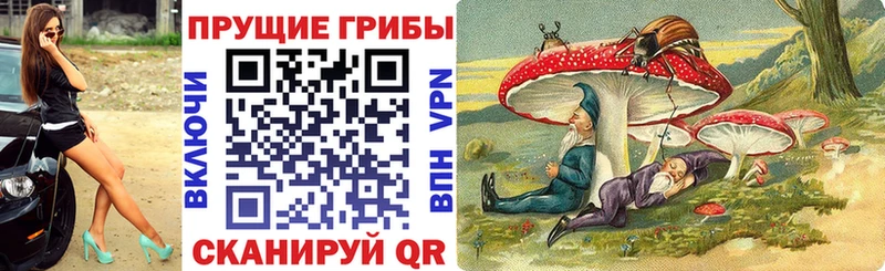 Галлюциногенные грибы Psilocybine cubensis  закладки  Элиста 