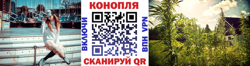 Каннабис тримм  маркетплейс клад  Элиста  где найти наркотики 